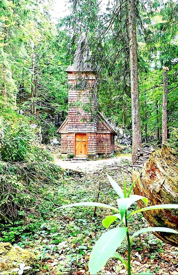 Tauglerei Appartement Bernstein in den Zauberbergen Sankt Koloman Exterior foto